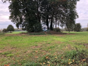 Rando entre Rieulay et Marchiennes - Céline - 6
