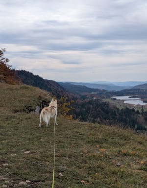 Lac de Bellefontaine et sur les pas des passeurs par les GR® - Marie - 3