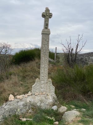 Malbouzon et l'Aubrac - Veronique - 5