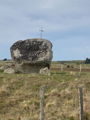 Malbouzon et l'Aubrac - Veronique - 4