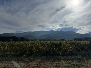 Notre Dame de vie depuis Argeles Village - Martin - 6