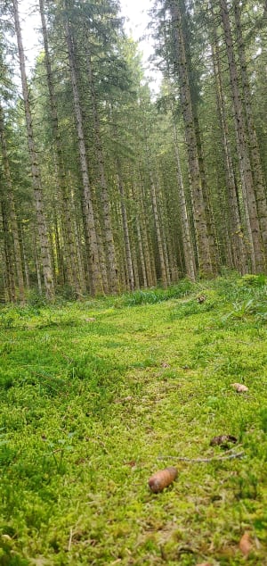Wandeling naar de Saut de la Bourrique - Matthieu - 6