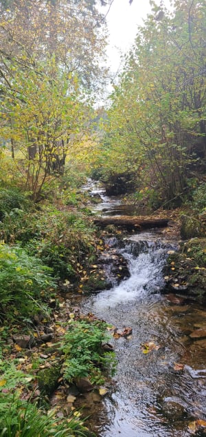 Wandeling naar de Saut de la Bourrique - Matthieu - 7
