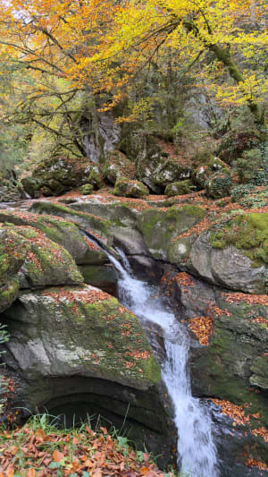 Sentier de Cozon, entre cascades et marmites à Saint-Pierre-d'Entremont - Maxence - 7