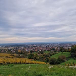 Balade d’UFFHOLTZ - WATTWILLER - Angéline - 2