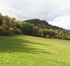 Bois de la Nugère et descente sur Volvic - Brigitte - 2