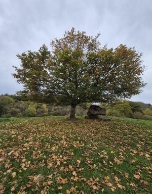 Le dolmen de la Cousty - Valerie - 3