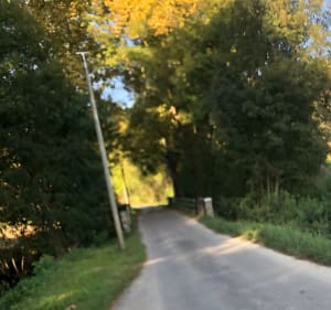 Gurs - boucle de la forêt - Fabienne - 5