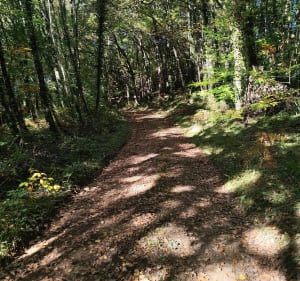 Étang de La Garde et découverte de la campagne - Sandy - 3