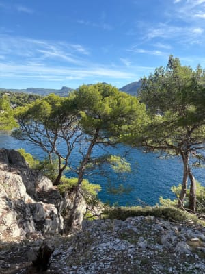 Calanque d'En-Vau vanaf de Col de la Gineste - Sabrina - 8