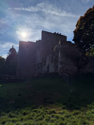 Randonnée d'Oberbronn jusqu'au château de la Wassenbourg - Romain - 5
