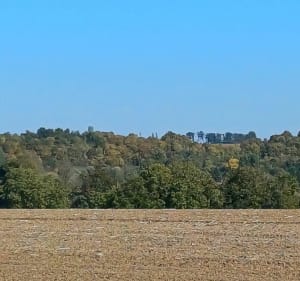 Hauts d’Orville - Véronique  - 4
