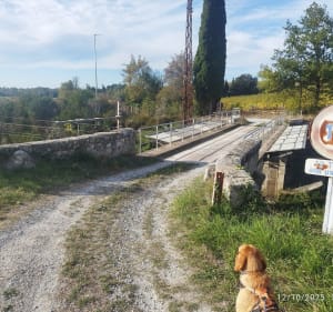 Promenade autour de Sainte-Eulalie - Guilhem - 3
