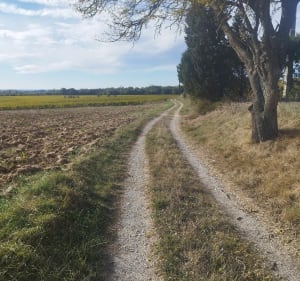 Promenade autour de Sainte-Eulalie - Guilhem - 4