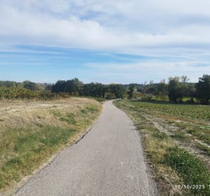 Promenade autour de Sainte-Eulalie - Guilhem - 5