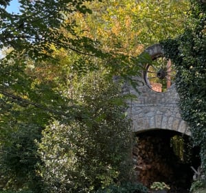 Balade en forêt autour d’Aix-la-Fayette - Decathlon - 2
