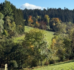 Balade en forêt autour d’Aix-la-Fayette - Decathlon - 3