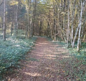 Sentier de la Guerre des Boutons - Virginie - 3