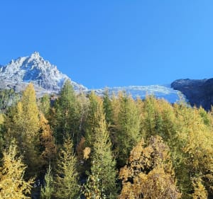 Randonnée du glacier des Bossons - JEAN-BAPTISTE - 2