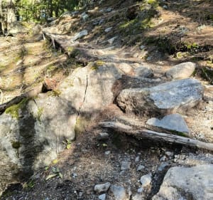 Randonnée du glacier des Bossons - JEAN-BAPTISTE - 3