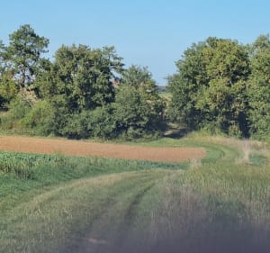 Vallée de Cognepuits - Stephanie - 5