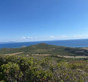 Sentier des Douaniers en Haute-Corse - thienpont - 2