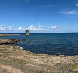 Sentier des Douaniers en Haute-Corse - thienpont - 4