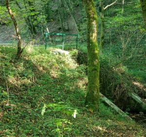 Le bois de Lassoux et Richeboeuf - Christine - 2