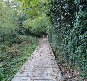 Rochefort-en-Terre, la butte des Cinq Moulins - Céline - 2