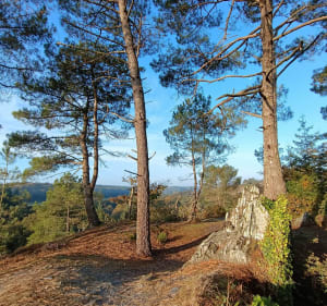 Rochefort-en-Terre, la butte des Cinq Moulins - Céline - 4