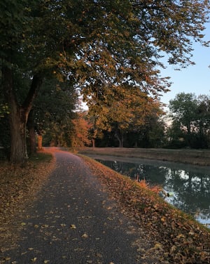 Le long du canal de Montech - Lucie - 2