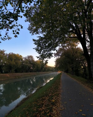 Le long du canal de Montech - Lucie - 4