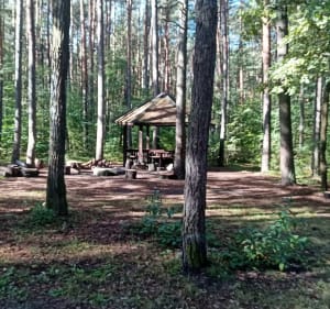 Bieganie terenowe - Artur - 4
