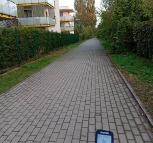 Stare Dojlidy - Marek - 3