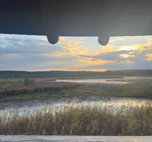 Torfowiska i punkty widokowe Imielty Ług - Dorosz - 2