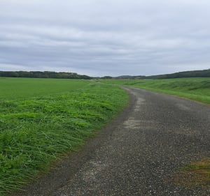 Randonnée Castéra Vignoles - Marcel - 2