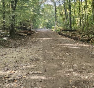 Forêt de Seillon - MARIE PIERRE - 3