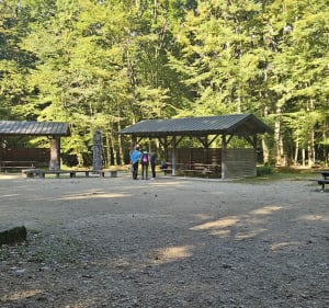 Forêt de Seillon - MARIE PIERRE - 4