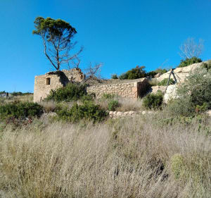 Castillon - Saint-Blaise - emna - 2