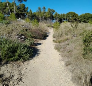 Castillon - Saint-Blaise - emna - 3