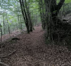 Camps sur l'Agly boucle en passant par guérite des Gabelous - David - 4