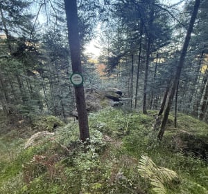 Vue sur les Vosges depuis Raon-l'Étape - Matthieu - 3