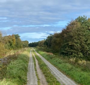 Darłowo-Darłówko - Piotr - 2