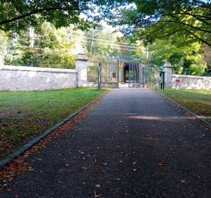 Forêt du belvédère et chateau de Chamarande - Jean - 3