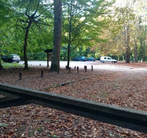 Forêt du belvédère et chateau de Chamarande - Jean - 5