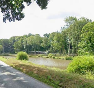 Sur les rives de l'ic,  entre Lantic  et Binicaven. - Olivier - 4