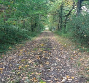 Circuit des terres de Mur - Johan - 4