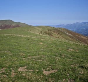 Boucle au départ du col d'Urdanzia, panorama sur les Pyrénées - Veronique - 3
