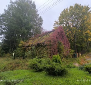 Jezioro Juksty - Joanna - 4