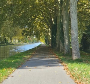 Promenade champêtre à Montech - Corinne - 2